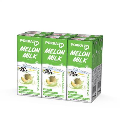 Melon Milk Drink 250ml x 6s