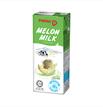 Melon Milk Drink 250ml
