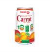 Carrot Fruit Juice 300ml