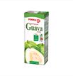 Guava Juice 250ml