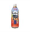 Ice Blueberry Tea 500ml