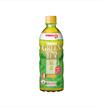 Jasmine Green Tea 500ml