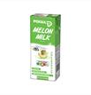 Melon Milk 250ml